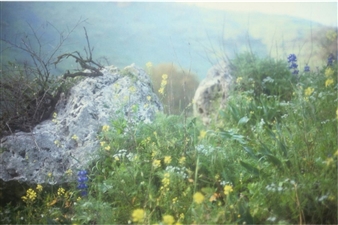 Rafael Y. Herman - Ludwig Museum of Contemporary Art