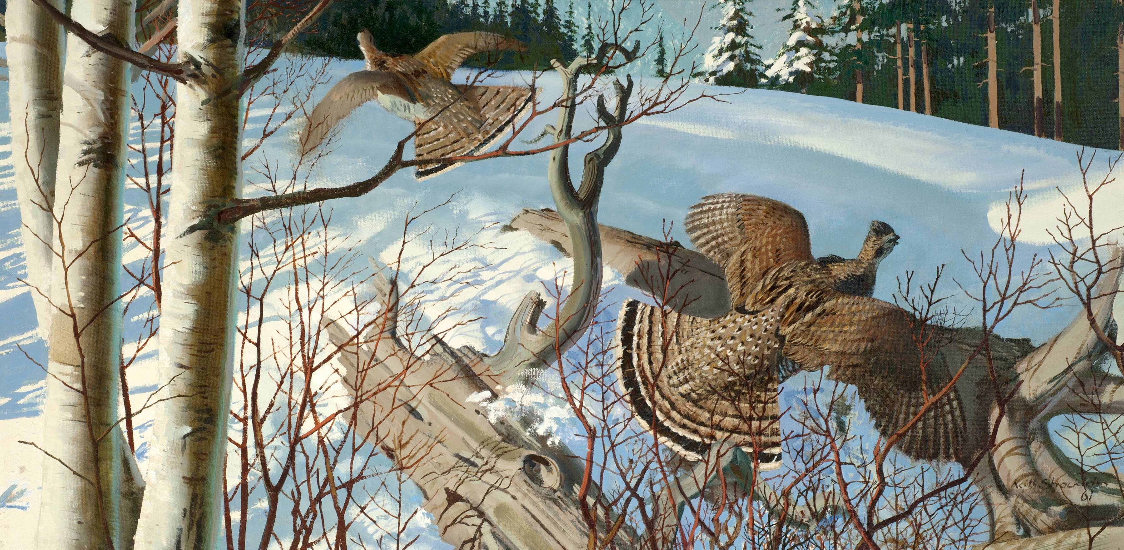 Keith Shackleton | LATE SEASON GROUSE IN WINTER (1961) | MutualArt