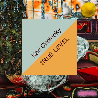 Kari Cholnoky: True Level - Safe Gallery