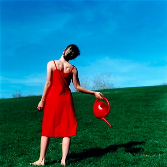 In the Garden - Panopticon Gallery