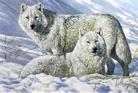 'Lords of the Arctic' by Stephen Gayford