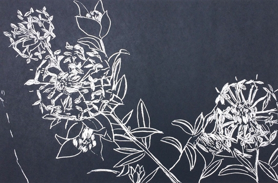 Fleur Rendell | 1 Artworks | MutualArt