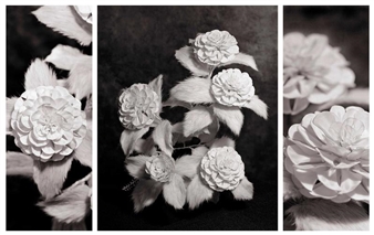 Hideki Tokushige: Honebana - Gallery Kogure, New York