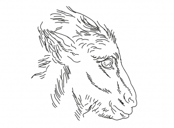 Oliver Laric: Year of the Dog - Metro Pictures