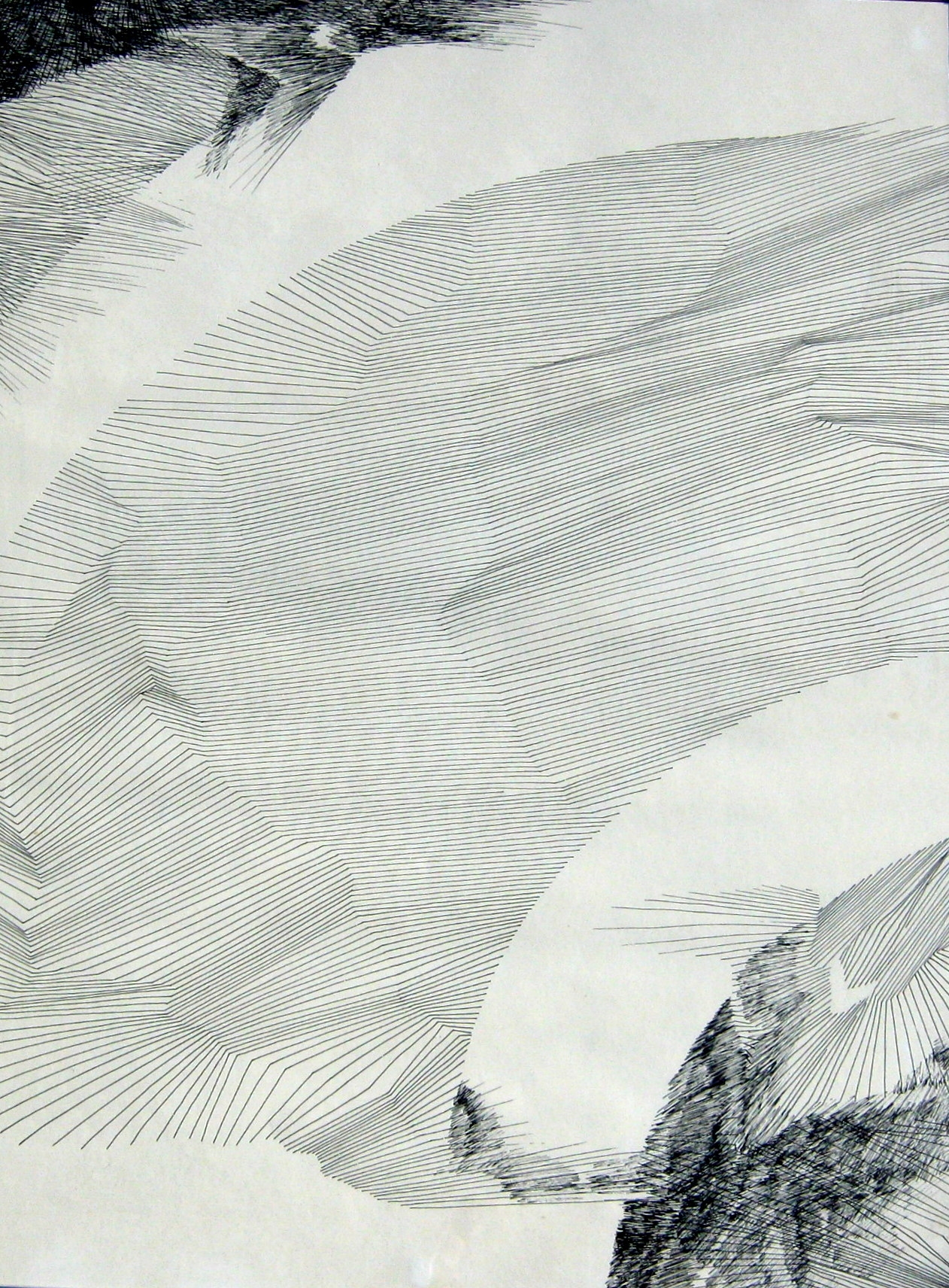 Artwork by Sherrard Grauer, Kingfishers, Made of Ink drawing