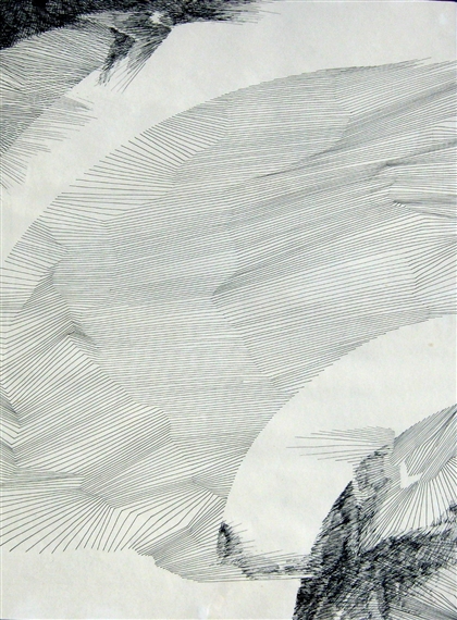 Kingfishers - Sherrard Grauer