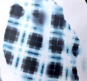 Obsessive Impulsion - Canberra Contemporary Art Space, Gorman House