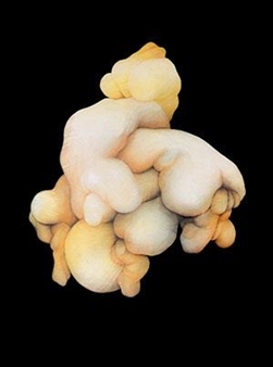 Stephen Kelemen: Personal work - Galerie Claude Samuel