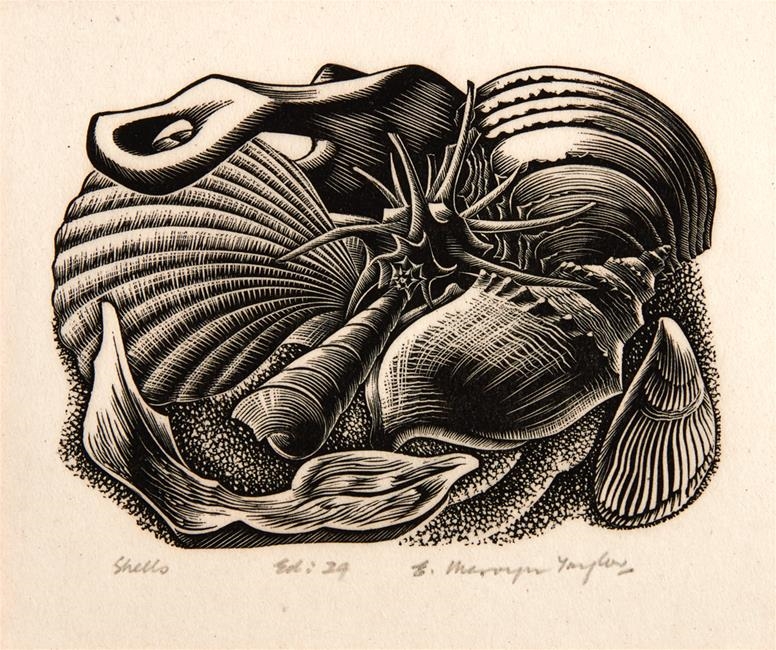 Artwork by E. Mervyn Taylor, Shells, Made of wood engraving
