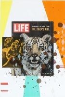 "Tiger Tiger burning bright" by Kirstine Roepstorff