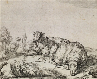 Sheep in various poses Picture