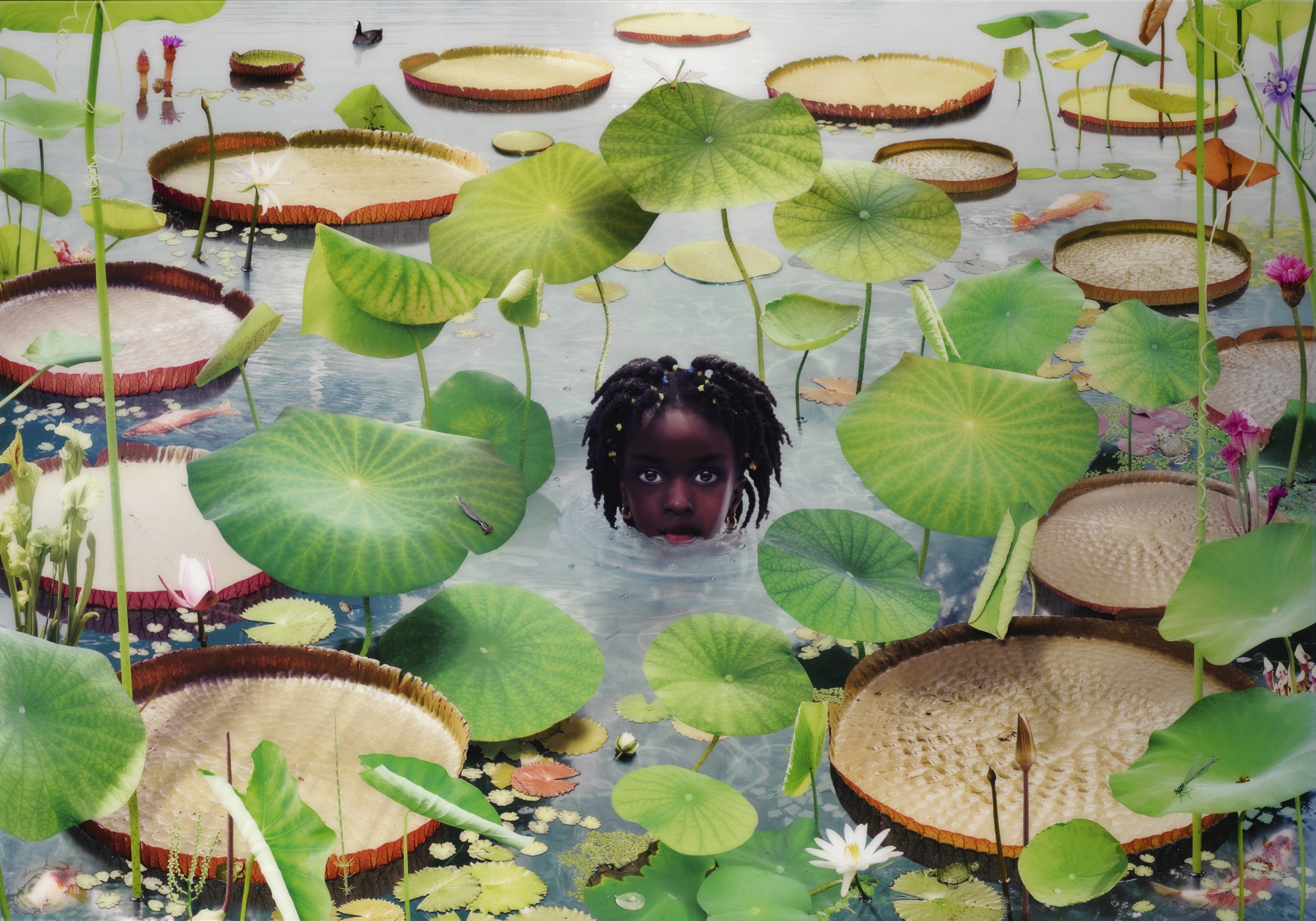 Artwork by Ruud van Empel, WORLD # 26, Made of mural-sized Cibachrome print, Diasec-mounted