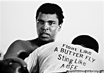 FLOAT LIKE A BUTTERFLY, STING LIKE A BEE - Chris Smith