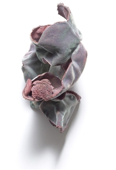 Vanguard: Contemporary Makers Using New Technologies  - Craft Victoria