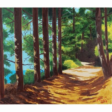 Boschetto eoliano-Salina by Renzo Meschis, 2017