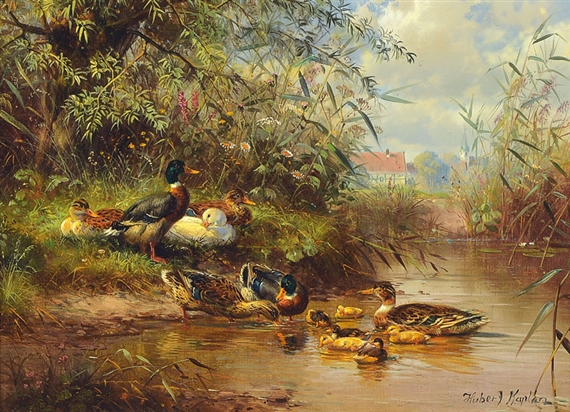 Ducks and chicks at the pond, in the backgrounda village by Hubert Kaplan