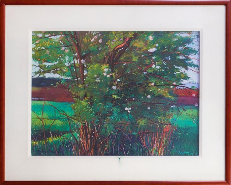 Artwork by Charles Basham, APPLE IN MORNING LIGHT, Made of Pastel on paper