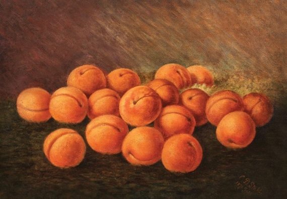 Natură statică cu caise by Constantin Daniel Stahi