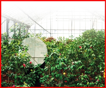 Geometries - Onassis Stegi Athens