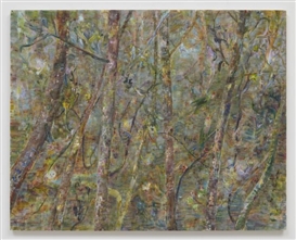 Nature Painting as Rorschach Test