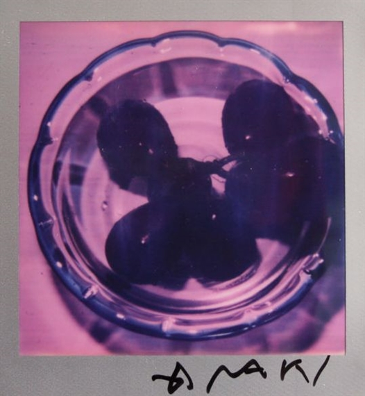 UNTITLED by Nobuyoshi Araki, 2015