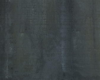 Misha de Ridder: Inside - Galerie Juliette Jongma
