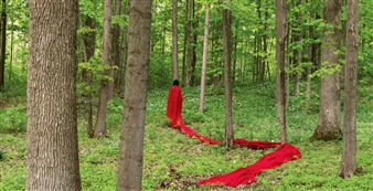 Nationwide Public Art Project to Feature 50 Indigenous Women