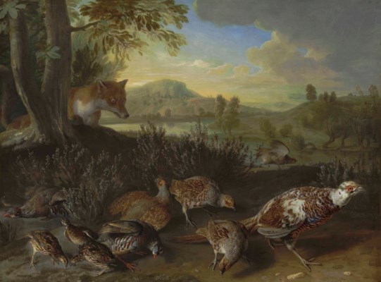 English and French partridge, a covey of quail and an ornamental pheasant disturbed by a fox, on a riverbank by Alexandre-François Desportes, 1711