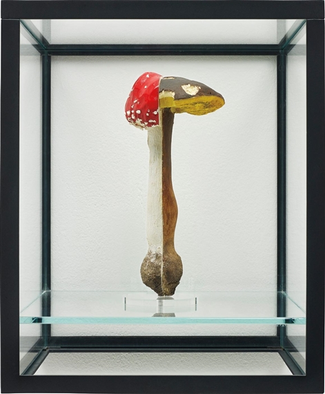 Doppelpilzvitrine by Carsten Höller, 2009