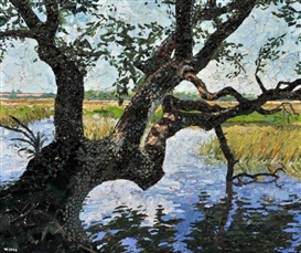 Healing Nature: Human Vision, Art, and the Environment