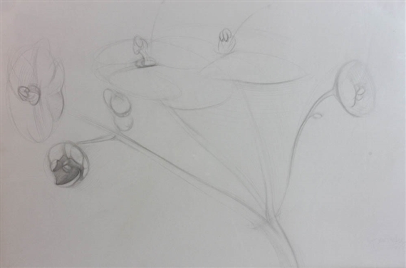 Violets by Philip Grausman, 1975