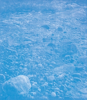 Franz Gertsch: The Sea - Museum Franz Gertsch