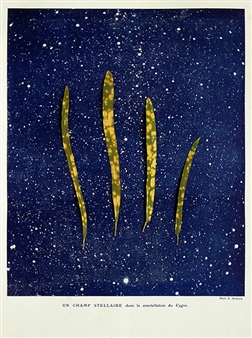 Vlad Nanca: In the natural landscape the human is an intruder - Galeria Sabot