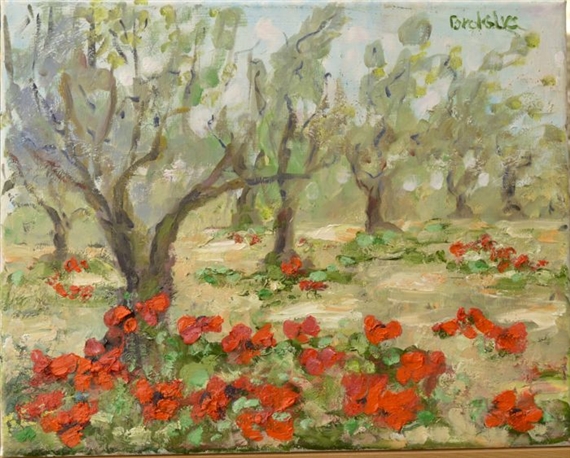 Olijfboomgaard met klaprozen