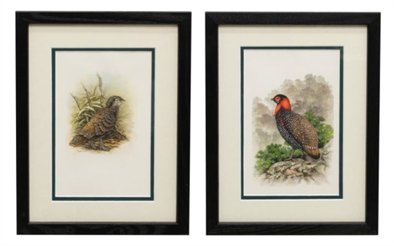 William L.R. Oliver | Performance at Auction | MutualArt