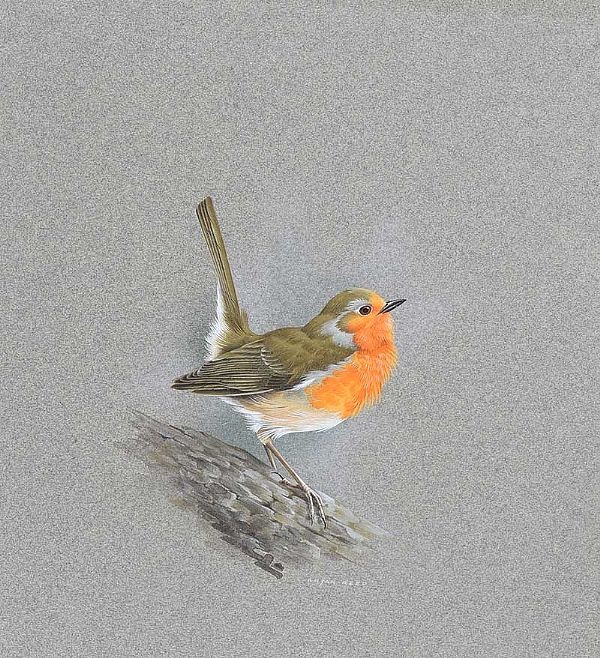 Bryan Reed | ROBIN | MutualArt