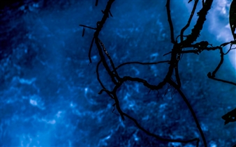 Gabriela Segura - Agora Gallery