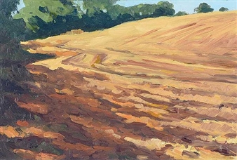 THE PLOUGHED FIELD - Frank Hallinan Flood