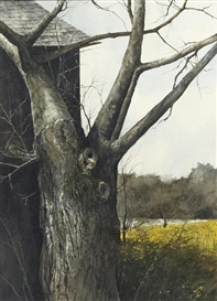 Americana Watercolors: Rural Scenes Painted in the 1970s