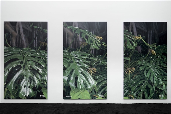 Timur Si-Qin: campaign for a new protocol, part I - Société Berlin