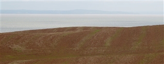 Pam Purves: Ingenuity - Gardiner Museum