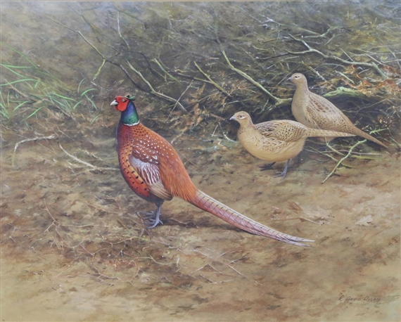 R. David Digby | Game Pheasant and Hens | MutualArt