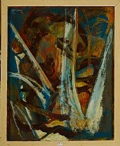 Forêt au Congo by Floris Jespers