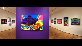 Experimental Methodologies