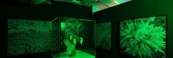 Life On The Grid: ‘Emerald City’ at K11 Art Foundation, Hong Kong