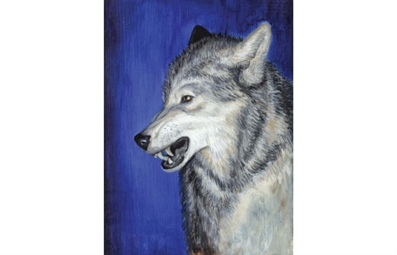 Natural History II by Carmen Belean, 2018