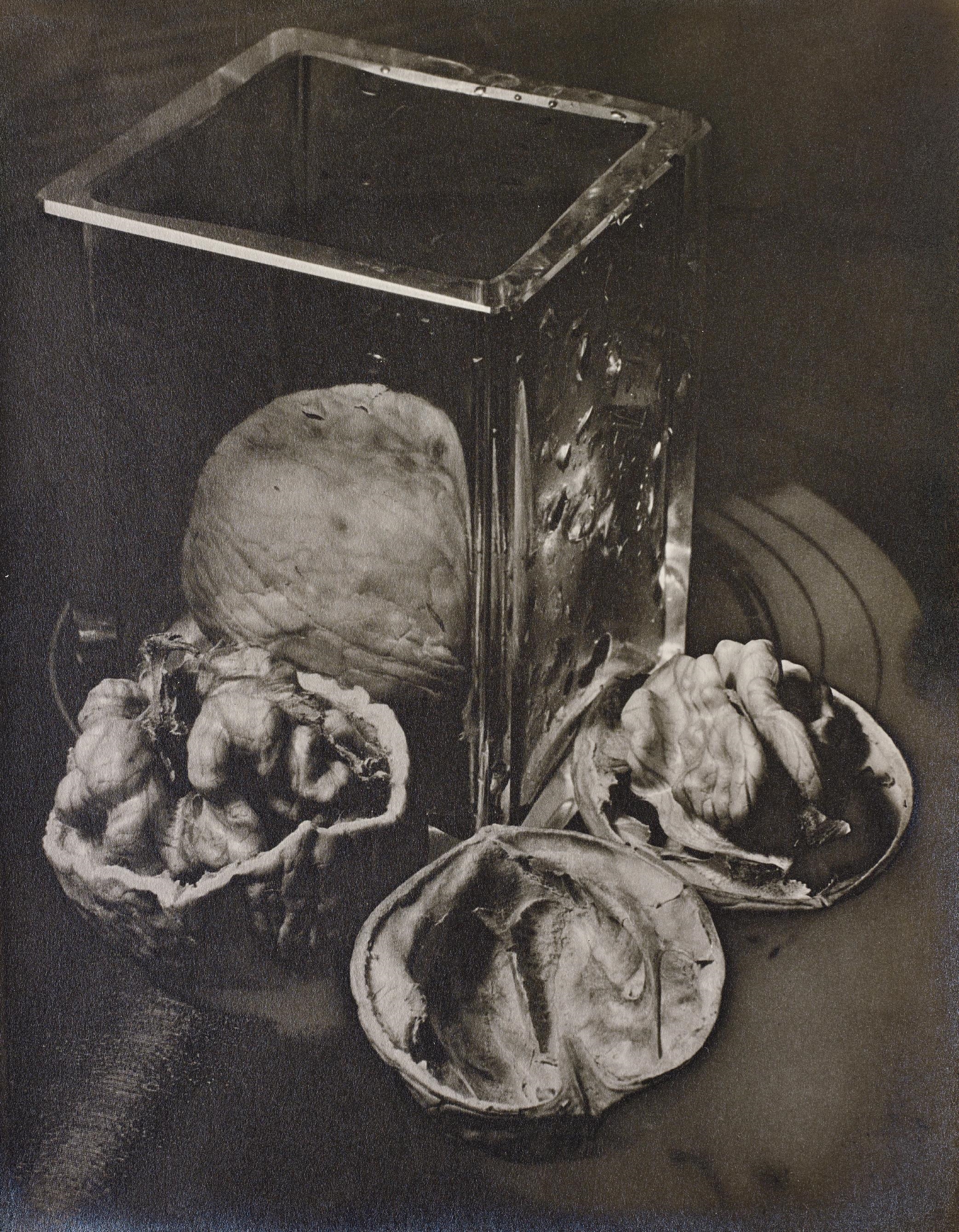 Man Ray | Untitled (Solarised walnuts) (1930 - 1931) | MutualArt