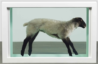 Away from the Flock - Damien Hirst