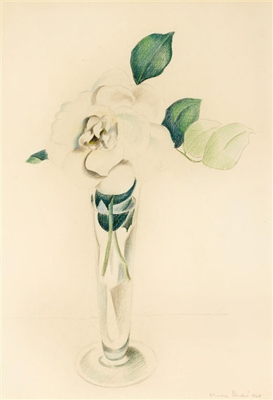 Rose in a Vase by Charles Sheeler, 1924