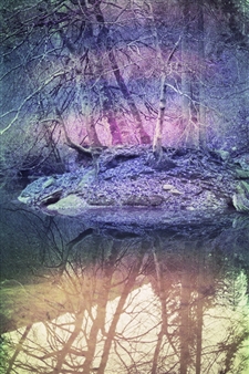 What you see is what you see 1.2.1 - Jonas Studer